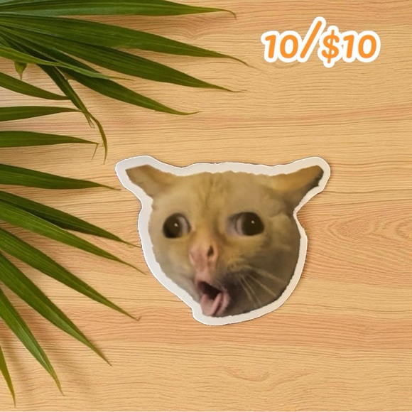 Funny Cat Meme Vinyl Sticker – Wide-Eyed Expression Design - Picture 1 of 1